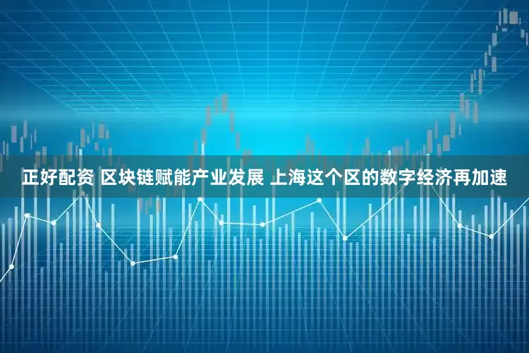 正好配资 区块链赋能产业发展 上海这个区的数字经济再加速