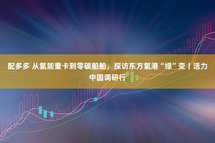 配多多 从氢能重卡到零碳船舶，探访东方氢港“绿”变丨活力中国调研行