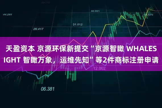 天盈资本 京源环保新提交“京源智瞰 WHALESIGHT 智瞰万象，运维先知”等2件商标注册申请